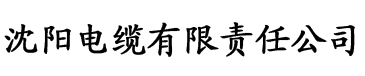 亚洲一区二区三区大全电缆厂logo